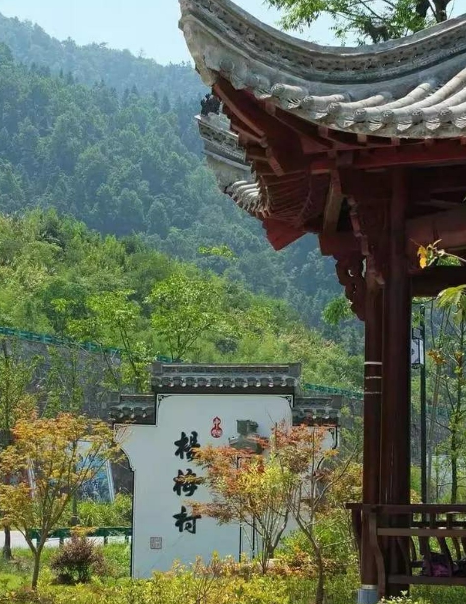 贯彻落实党的十九大精神 助力新农村文化扶贫