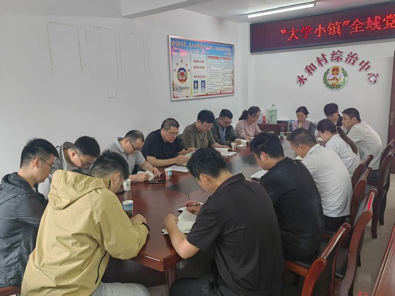 党建引领聚合力 匠心筑梦促振兴...