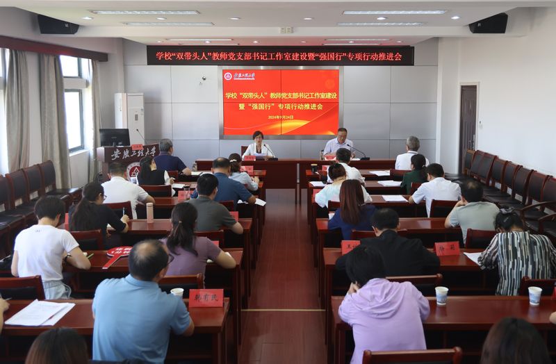 学校召开“双带头人”教师党支部...