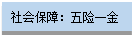 文本框:社会保障：五险一金